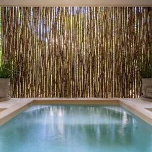 Ferienhaus Casa Cenote Private Pool Gated, Tulum